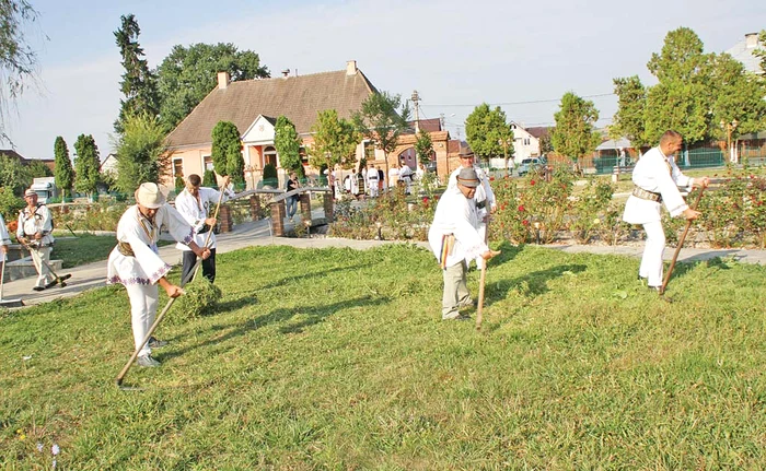 
    Sătenii au renunţat la uneltele moderne şi au scos coaseleFoto: adevarul.ro  