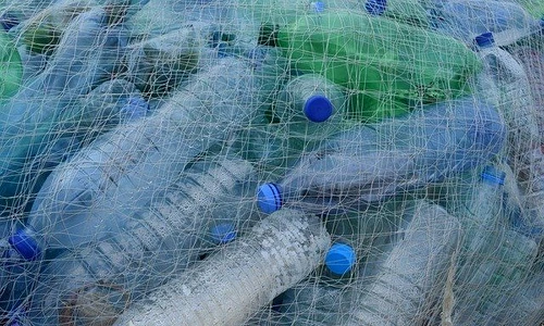 1 plastic bottles 388679 640 jpg jpeg