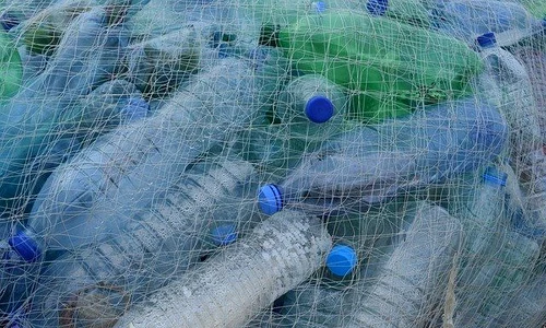 1 plastic bottles 388679 640 jpg jpeg