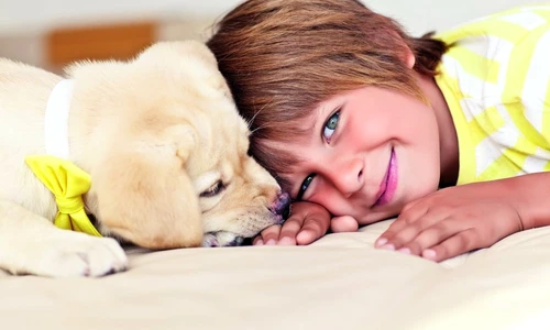 1 61138 original jpg jpeg