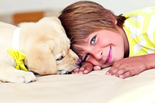 1 61138 original jpg jpeg