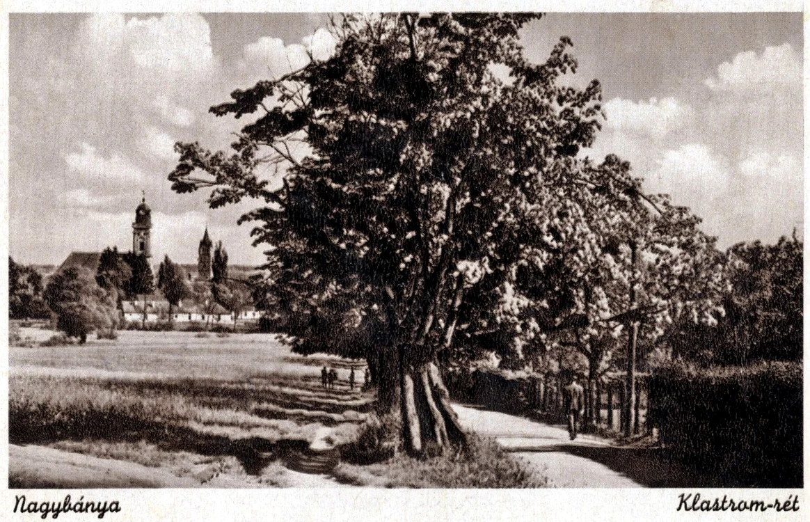 Câmpul Claustrului, vedere dinspre nord, perioada interbelică, carte poștală ilustrată. MJIA