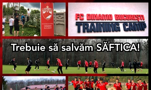 dinamo baza saftica jpeg