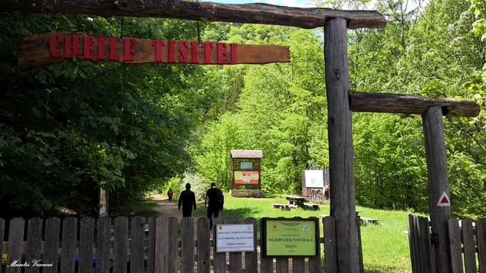 Cheile Tișiței FOTO: Ștefan Borcea