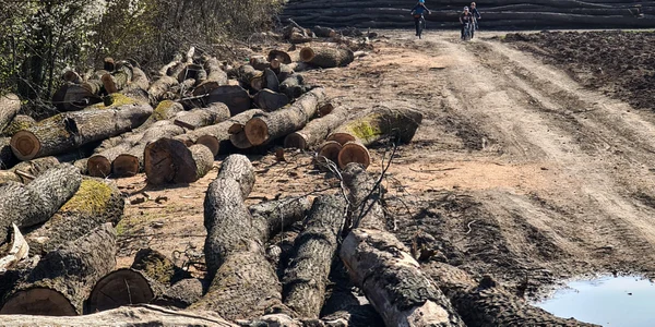 Viitorul copiilor nostri este îmbrățișat de Centura Verde, nu de exploatări forestiere în Ilfov, în dauna locuitorilor capitalei Împreună pentru Ce jpg