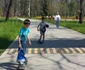 severineii au iesit la plimbare in pădurea crihala FOTO Corina Macavei