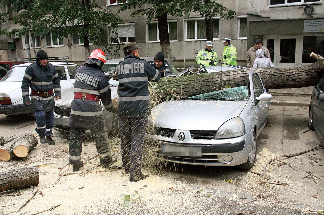 
    Pompierii s-au chinuit să ridice copacii de peste mașini Fotografii: ISU București   