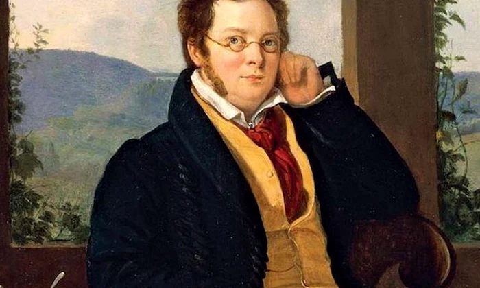 Franz Schubert: „Muzica mea este rezultatul geniului şi al nefericirii mele”  jpeg