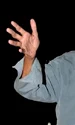 gil dobrica png