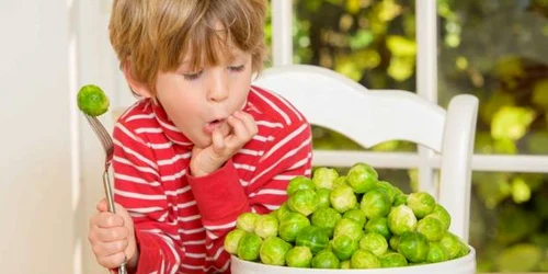 Varza de Bruxelles FOTO www.independent.co.uk