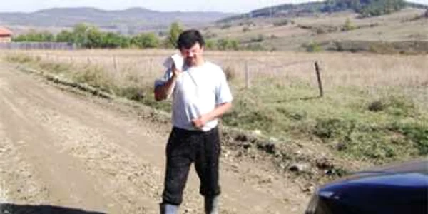 Invazie de furnici zburătoare în Mehedinţi