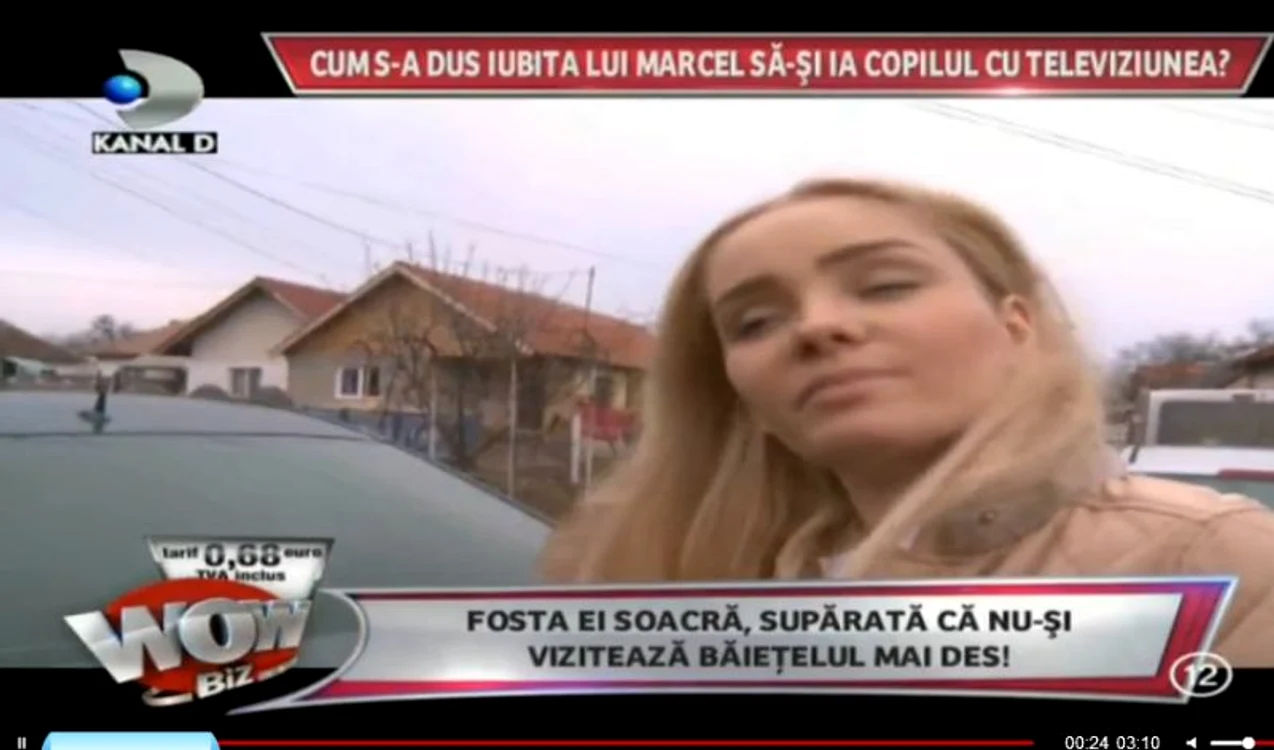 
    Mirela Constantin  