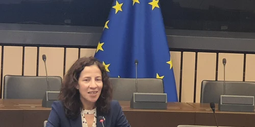 roxana minzat comisar european jpg