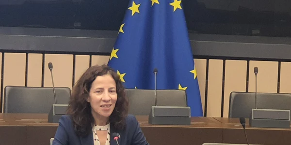 roxana minzat comisar european jpg