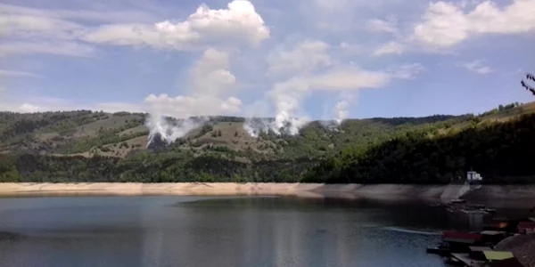 padurefoc