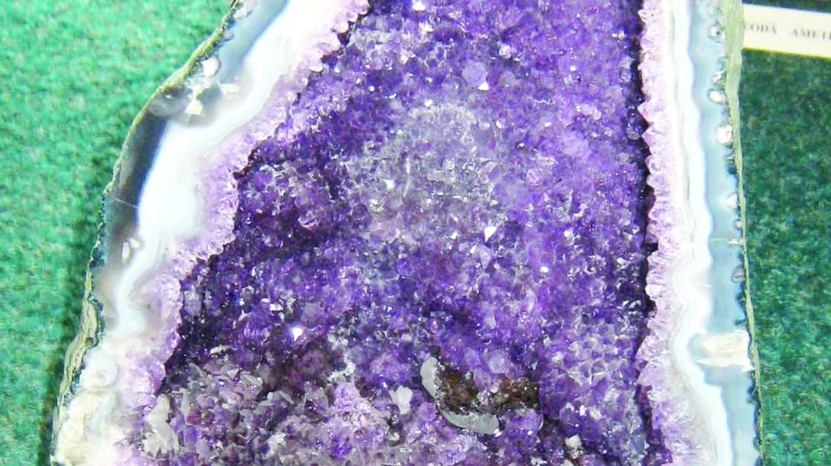 Ansamblu spectaculos de flori de mină, la Cheia jpeg