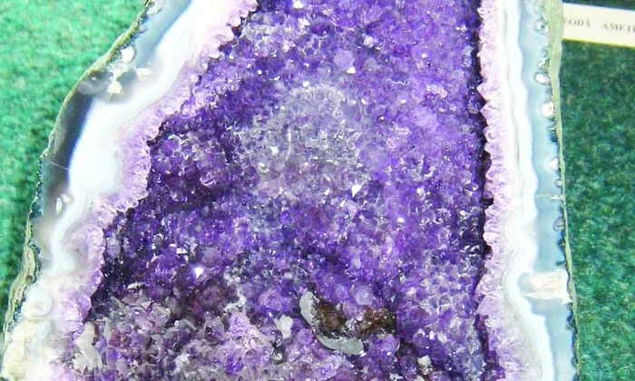 Ansamblu spectaculos de flori de mină, la Cheia jpeg