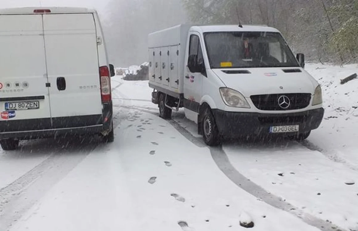 A nins în Pasul Gutâi. FOTO: Facebook Dorel Chiuzbăian