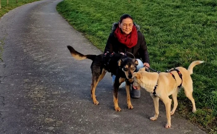 Luna şi Tazz  au ajuns  în Germania. Foto: “Ajutaţi-l pe Lăbuş”