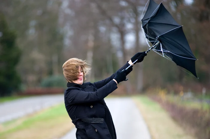 Cod galben de vânt puternic în 35 de judeţeSursă foto: Shutterstock