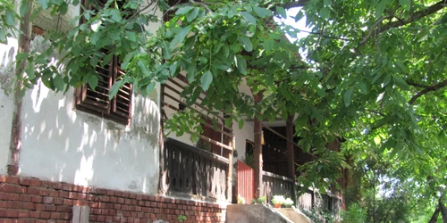 Conacul Kopony din Timişoara FOTO Ştefan Both