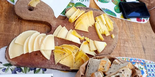 branza medalie de aur la Lyon Foto Asociatia Curtea Culorilor jpg