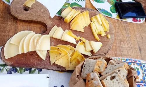 branza medalie de aur la Lyon  Foto Asociatia Curtea Culorilor jpg