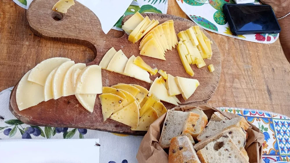 Trei branzeturi românești, premiate cu aur la un concurs internațional din Franța