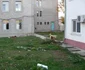 Caini spital Gaesti
