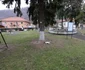 Orasul Nucet Foto Daniel Guță ADEVĂRUL (5) JPG