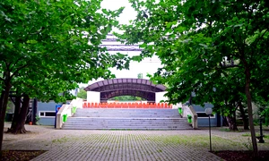 ShortsUP în parc jpeg