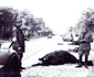 historia ro undefined jpeg