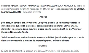petitie kola kariola png