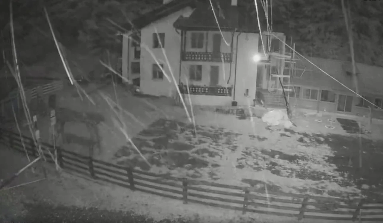 Ninsoare în luna iulie Foto: captură video Facebook/ Cabana Brusturet