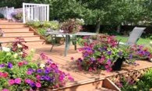 1 47507 original jpg jpeg