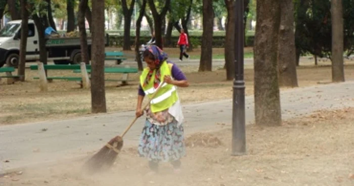 Oradea: Praf în ochi, în loc de iarbă verde