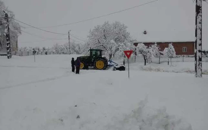 Babşa