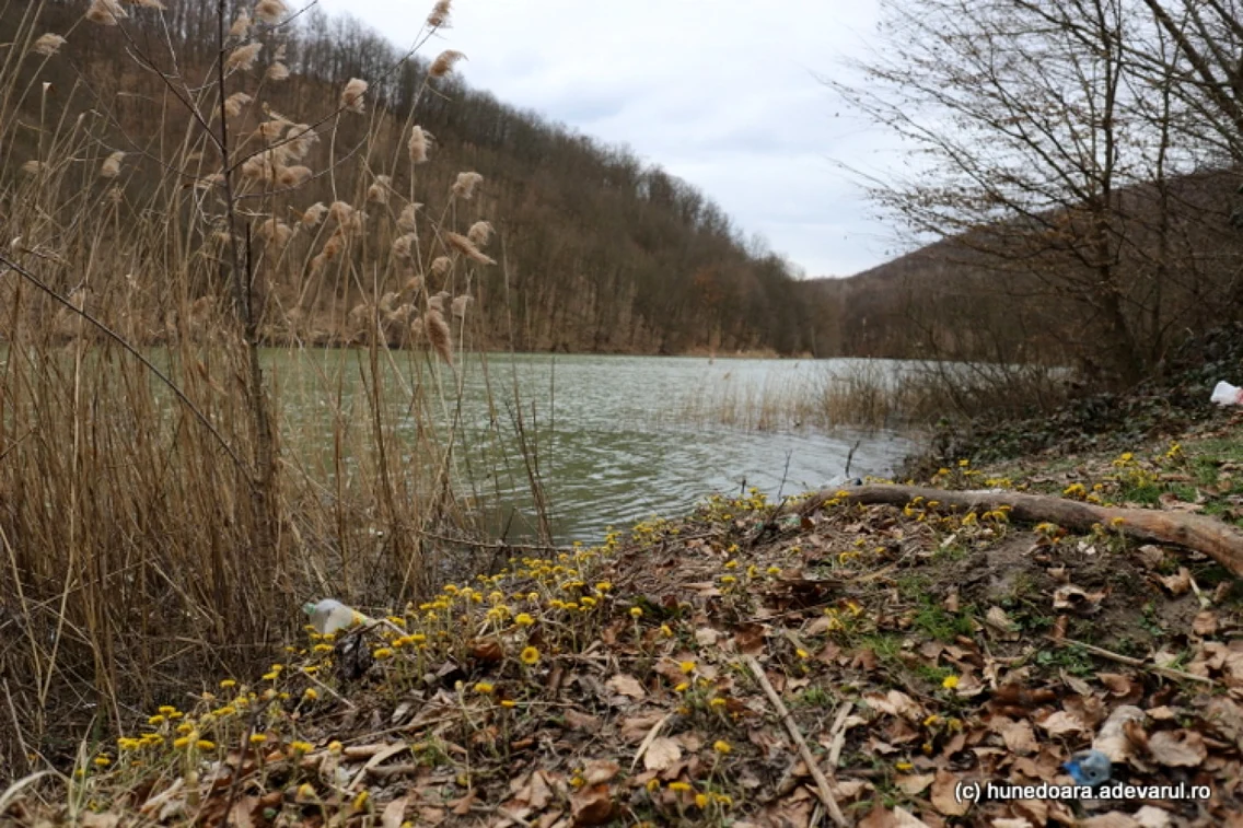 lacul cozia foto daniel guta adevarul