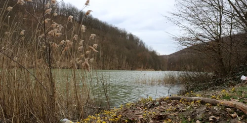 lacul cozia foto daniel guta adevarul