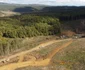 Autostrada Lugoj Deva, zona Holdea Margina Foto Daniel Guță ADEVĂRUL (13) JPG