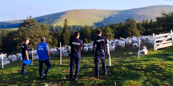 stane gorj foto politia gorj