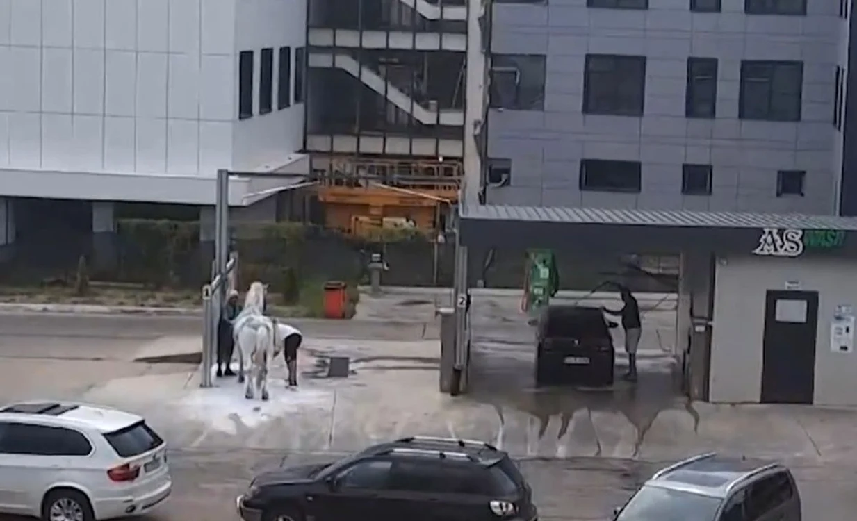 Bărbatul riscă să fie condamnat la închisoare / foto: captura video