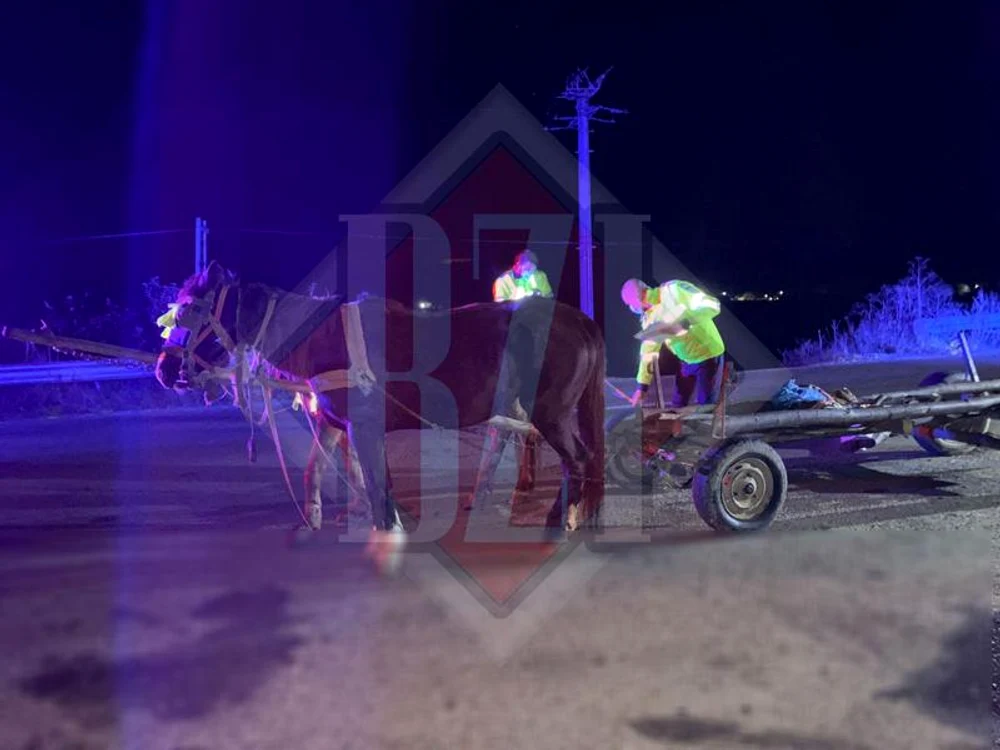 
    Adolescentul a fost găsit mort lângă căruțăFoto: bzi.ro  