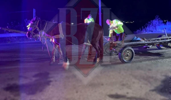 accident rutier grajduri 0 jpeg
