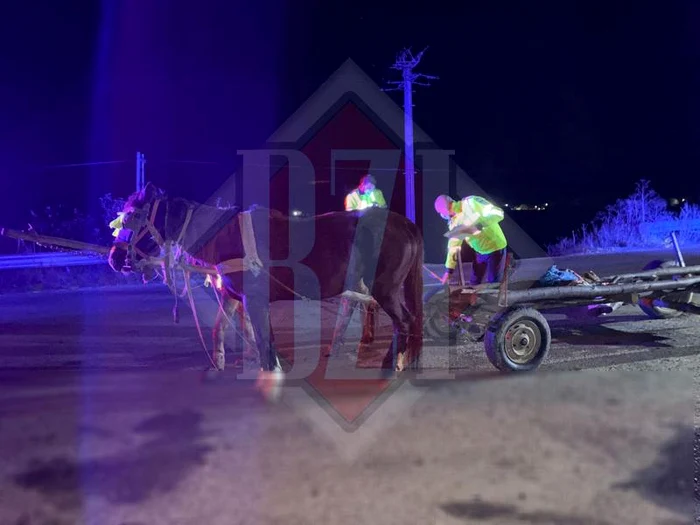Adolescentul a fost găsit mort lângă căruțăFoto: bzi.ro