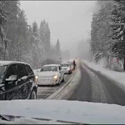 WhatsApp Video 2023 12 23 at 14 24 51 mp4 thumbnail png