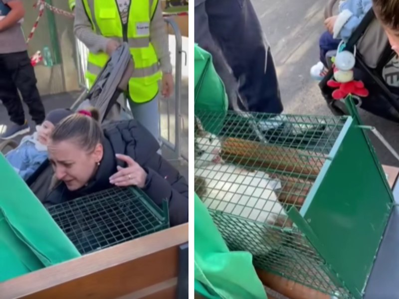 O pisică din blocul afectat de explozie din Rahova s-a reîntâlnit cu stăpâna sa. „Mai sunt câteva suflete de salvat de acolo”