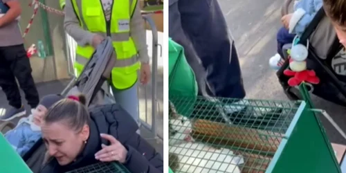 pisica salvata din blocul explodat din rahova png