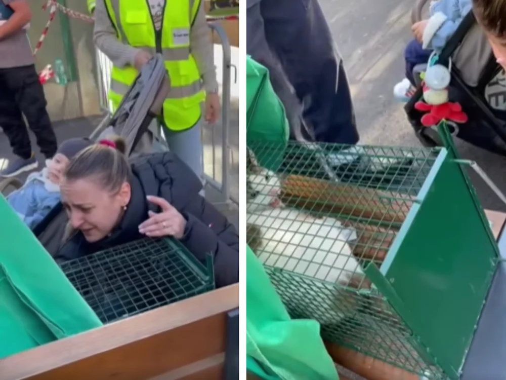 O pisică din blocul afectat de explozie din Rahova s-a reîntâlnit cu stăpâna sa. „Mai sunt câteva suflete de salvat de acolo”