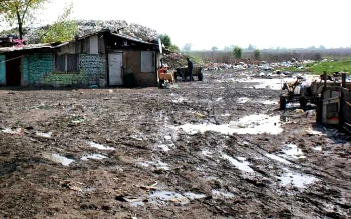 Cadavrul nou-născutului a fost descoperit în zona haldei de gunoi din Deva.